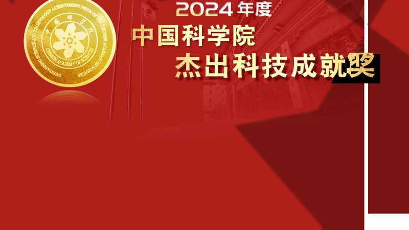 软件测试流程模板：构建高效测试体系的秘籍